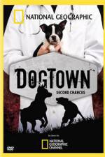 Watch National Geographic DogTown Megashare9