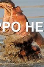 Watch Hippo Hell Megashare9