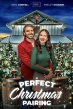 Watch A Perfect Christmas Pairing Megashare9
