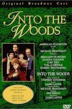 Watch Into the Woods Megashare9