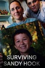 Watch Surviving Sandy Hook Megashare9