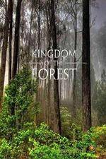 Watch National Geographic Kingdom of the Forest Megashare9