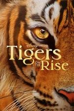Watch Tigers on the Rise Online Megashare9