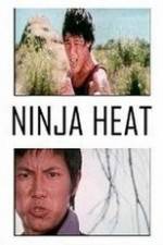 Watch Ninja Heat Megashare9