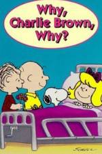 Watch Why Charlie Brown Why Megashare9