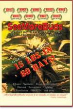 Watch SeeMoreBuds: Vol. 1 Megashare9