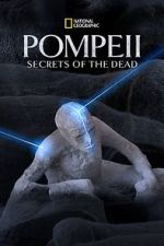 Watch Pompeii: Secrets of the Dead (TV Special 2019) Megashare9