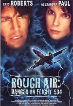 Watch Rough Air: Danger on Flight 534 Megashare9