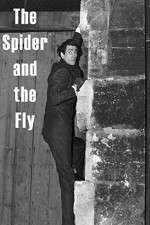 Watch The Spider and the Fly Megashare9