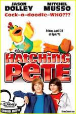 Watch Hatching Pete Megashare9