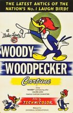 Watch The Woody Woodpecker Polka Megashare9