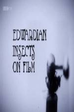 Watch Edwardian Insects on Film Megashare9