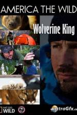 Watch National Geographic Wild America the Wild Wolverine King Megashare9