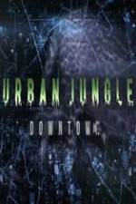 Watch National Geographic Wild Urban Jungle Downtown Megashare9