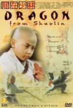 Watch Long zai Shaolin Megashare9