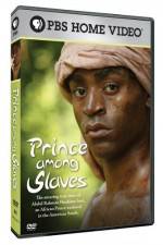 Watch Prince Among Slaves Megashare9