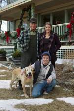 Watch Hallmark Hall of Fame A Dog Named Christmas Megashare9