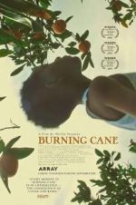 Watch Burning Cane Megashare9