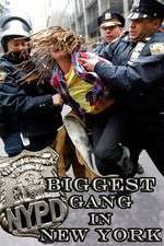 Watch NYPD: Biggest Gang in New York? Megashare9