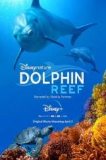 Watch Dolphin Reef Megashare9