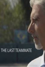 Watch Senna The Last Teammate Megashare9