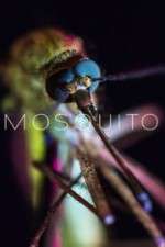 Watch Mosquito Megashare9