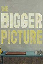 Watch The Bigger Picture Megashare9