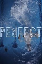 Watch Perfect Megashare9