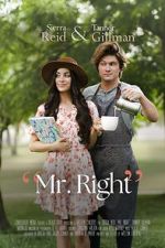 Watch Mr. Right Megashare9
