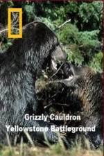 Watch National Geographic Grizzly Cauldron Megashare9