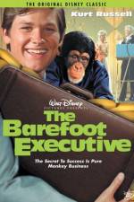 Watch The Barefoot Executive Megashare9