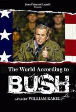 Watch The World According to Bush Megashare9