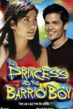 Watch The Princess & the Barrio Boy Megashare9