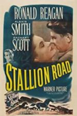 Watch Stallion Road Megashare9