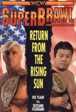 Watch WCW SuperBrawl I Megashare9