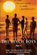 Watch The Beach Boys An American Family Megashare9