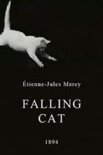 Watch Falling Cat Megashare9