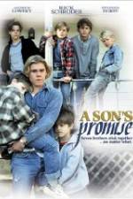 Watch A Son's Promise Megashare9