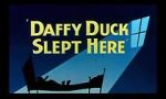 Watch Daffy Duck Slept Here (Short 1948) Megashare9