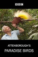 Watch Attenborough's Paradise Birds Megashare9