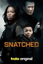 Watch Snatched Megashare9