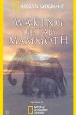 Watch Waking the Baby Mammoth Megashare9