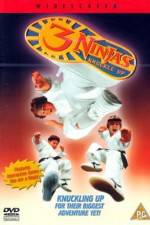 Watch 3 Ninjas Knuckle Up Megashare9