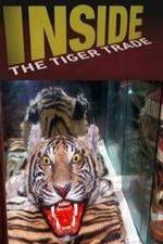 Watch Inside: The Tiger Trade Megashare9