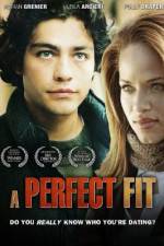 Watch A Perfect Fit Megashare9