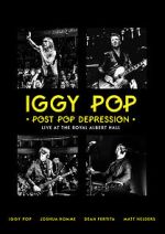 Watch Iggy Pop: Post Pop Depression Megashare9