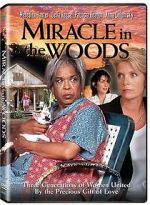 Watch Miracle in the Woods Megashare9