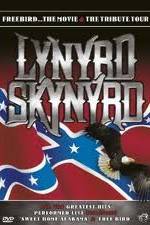 Watch Lynrd Skynyrd: Tribute Tour Concert Megashare9