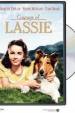 Watch Courage of Lassie Megashare9