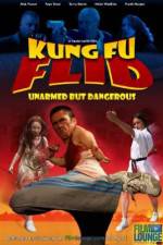 Watch Kung Fu Flid Megashare9